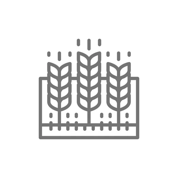 Champ de blé, paysage agricole, icône de ligne de terre agricole . — Image vectorielle