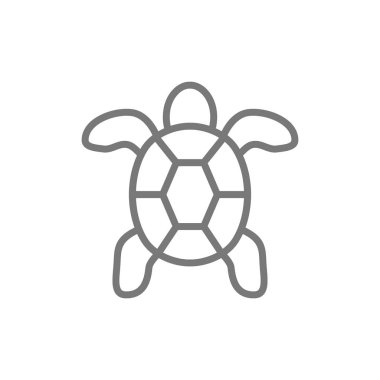 Kaplumbağa, su hayvanı çizgi simgesi.