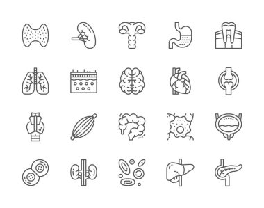 İnsan Organları Hattı Simgeleri kümesi. Dalak, Mide, Akciğerler, Beyin, Kalp ve daha fazlası.