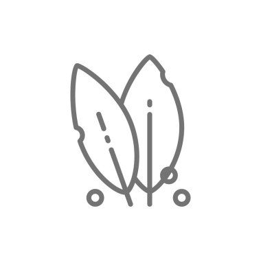 Defne yaprağı, baharat, bitki hattı simgesi.