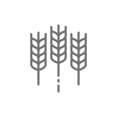 Buğday kulağı, tahıl çizgisi simgesi.