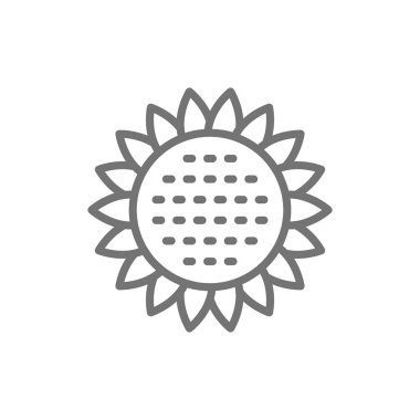 Vektör ayçiçeği, çiçek çizgisi simgesi.