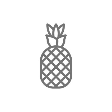 Vektör ananas, meyve hattı simgesi. Beyaz arka planda yalıtılmış