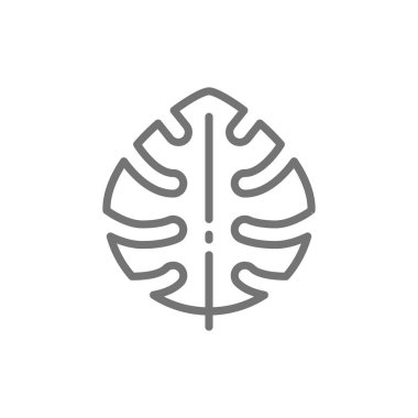 Tropikal palmiye yaprağı, monstera yaprağı bitki çizgi simgesi.