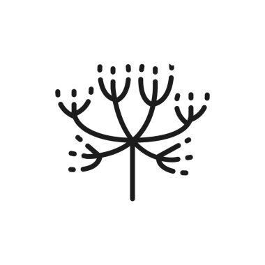 Caraway, dereotlu düz çizgi simgesi. Beyaz arkaplanda izole