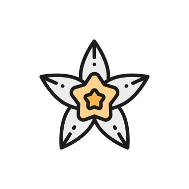 Vanilya, yıldız anason düz çizgi simgesi. Beyaz arkaplanda izole