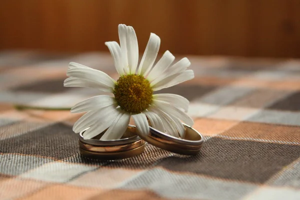 Photo Rapprochée Camomille Blanche Avec Deux Anneaux Mariage Sur Table — Photo