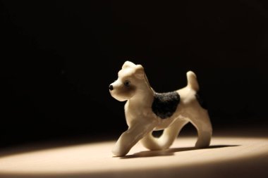 köpeğin hayatı ilginç