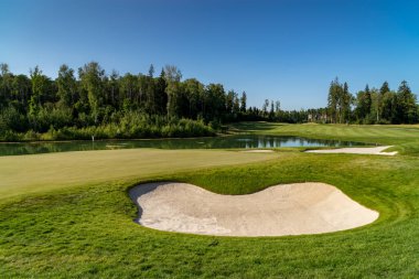 Golf topu üzerinde yeşil çimen mavi yaz sky içinde belgili tanımlık geçmiş