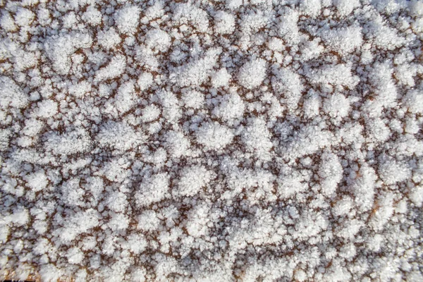 Fondo Con Textura Madera Gotas Agua Lugar Para Texto — Foto de Stock