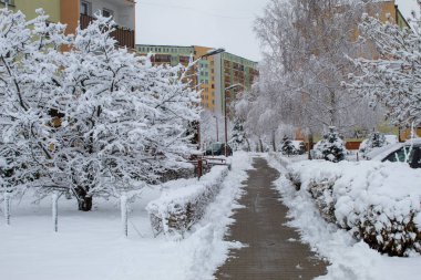 Şehir, kar peri masalı, kar siklon, ağaçlar ve karda araba, Avrupa'nın kış kış