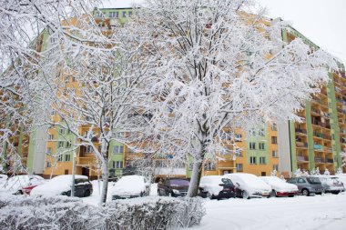 Şehir, kar peri masalı, kar siklon, ağaçlar ve karda araba, Avrupa'nın kış kış