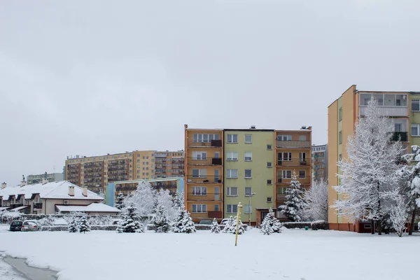 Inverno Città Fiaba Della Neve Ciclone Della Neve Alberi Auto — Foto Stock