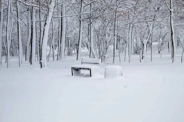 Snow Covered Benches City Park Snow City Snowfall City Trees — Stock Photo, Image