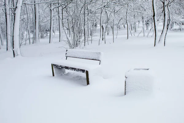 Snow Covered Benches City Park Snow City Snowfall City Trees — Stock Photo, Image