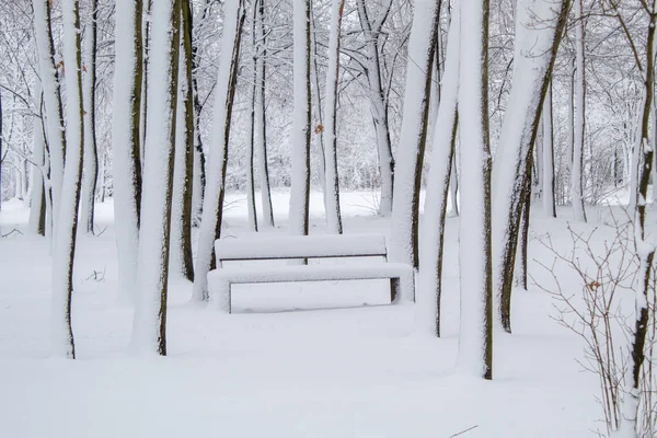 Снежные Скамейки Городском Парке Снег Городе Снегопад Городе Деревья Белом — стоковое фото