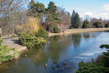 Parlak bahar Parkı Poniatowski şehir göl ve ördekler donmuş Lodz, Bahar Parkı, Polonya