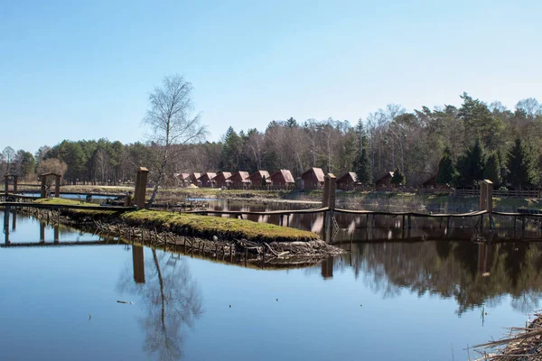 Vacker Plats Sjön Tallskog Fritidsgården Och Slav Fiske Sjön Rekreations — Stockfoto