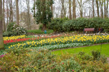 Renkli Bahar Parkı, Hollanda, bahar çiçekleri
