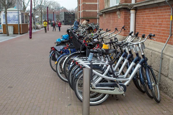 Amsterdam Holland April 2019 Museumskvarteret Amsterdam Holland - Stock-foto