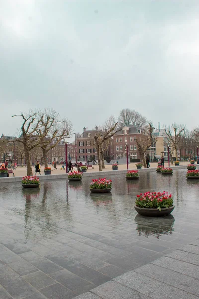 Ámsterdam Países Bajos Abril 2019 Barrio Los Museos Amsterdam Países — Foto de Stock