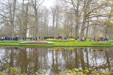 Keukenhof, Hollanda 06.04.2019: Çiçek açan renkli çiçek yatakları tüm bahçe parkını kapsıyor. Lale tarlaları ve kiraz çiçekleri bu botanik harikalar turistler için popüler bir yer yapmak.