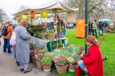 Keukenhof, Lisse, Hollanda 06.04.2019: Çiçek açan lalelerle popüler Keukenhof Botanik Parkı yılda sadece 2 ay turistlere açıktır.