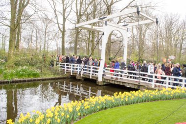 Keukenhof, Lisse, Hollanda 06.04.2019: Çiçek açan lalelerle popüler Keukenhof Botanik Parkı yılda sadece 2 ay turistlere açıktır.