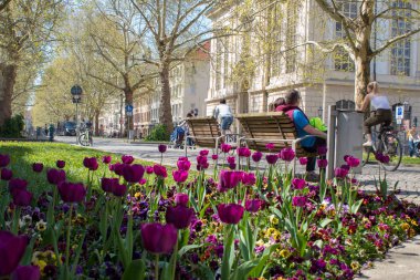 Drezden / Almanya - 20 Nisan 2019: Paskalya tatilinde Saksonya'nın başkenti sokakları, mimari ve tarihi anıtlar