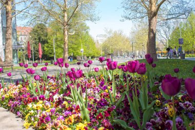 Drezden / Almanya - 20 Nisan 2019: Paskalya tatilinde Saksonya'nın başkenti sokakları, mimari ve tarihi anıtlar