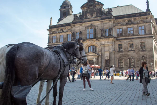 Dresde Alemania Abril 2019 Dresde Paisaje Urbano Con Hermosa Arquitectura — Foto de Stock