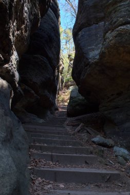 Almanya'da Bohemian İsviçre yakınlarındaki güzel Sakson İsviçre kumtaşı Elbe Dağları'nda ilkbaharda yeşil bir yolda Rocky tırmanmaya