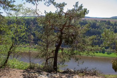 Sakson İsviçre - Almanya ana cazibe. Güneşli bir bahar gününde Bir Alman kasabası, kumlu kayalıklar ve Elbe Nehri manzaralı Bastei manzarası