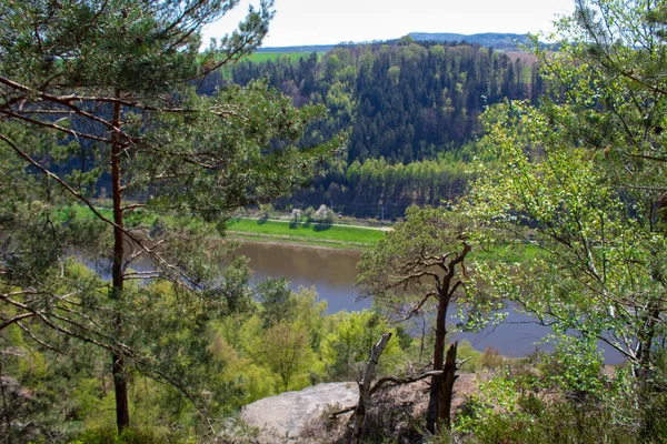 Felsaufstieg Auf Einem Grünen Pfad Frühling Sandsteingebirge Der Wunderschönen Sächsischen — Stockfoto