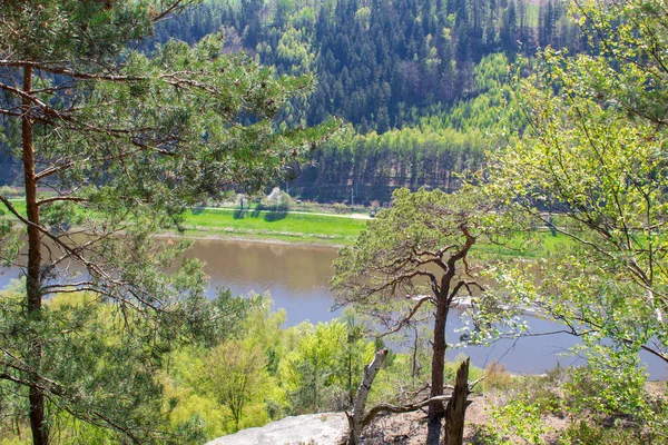 Saxon Schweiz Tyskland Huvudattraktion Utsikt Från Bastei Med Utsikt Över — Stockfoto