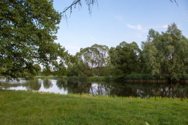 Güneşli bir yaz gününde Polonya'nın orta kesiminde ormanla çevrili güzel yüzeysel mavi bir gölün manzarası.