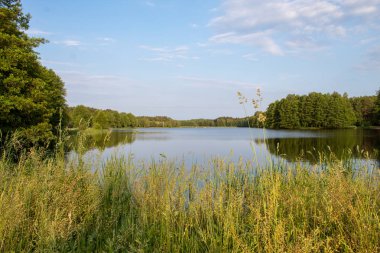 Güneşli bir yaz gününde Polonya'nın orta kesiminde ormanla çevrili güzel yüzeysel mavi bir gölün manzarası.