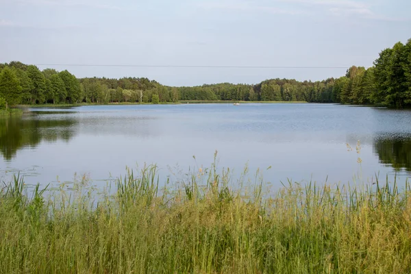 晴れた夏の日にポーランドの中央部の森に囲まれた美しい表面的な青い湖の風景 ストックフォト