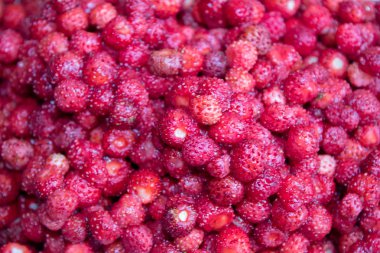 Bir sürü kırmızı sulu çilek. En lezzetli yabani meyve. Çilek dokusu ve arka plan.