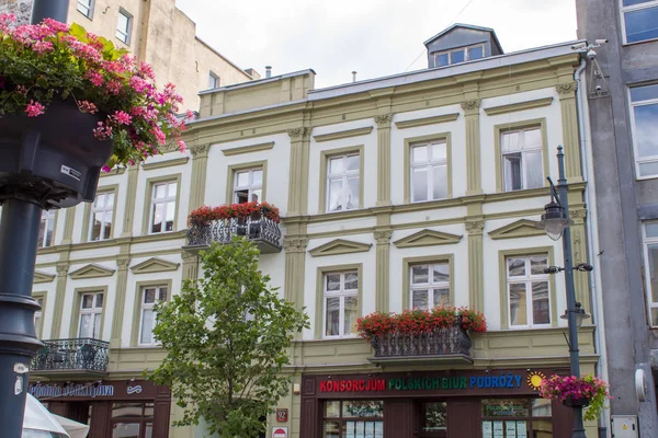 Lodz Polonia Julio 2019 Colorido Paisaje Verano Con Flores Florecientes — Foto de Stock