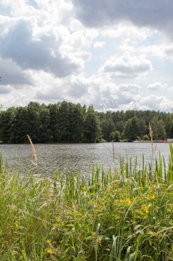 Bulutlar ve pitoresk bir göl, iğne yapraklı ve yaprak döken orman ile çevrili mavi gökyüzü güzel yaz manzara.