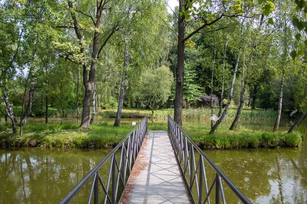 Pintoresco Lago Bosque Entre Árboles Verdes Bonito Puente Sobre Lago — Foto de Stock