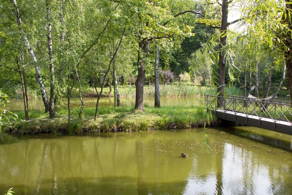 Ein Malerischer Waldsee Inmitten Grüner Bäume Und Eine Schöne Brücke — Stockfoto