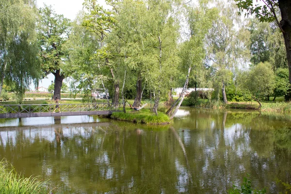 Paisaje Verde Pintoresco Lago Verde Entre Bosque Con Una Isla — Foto de Stock