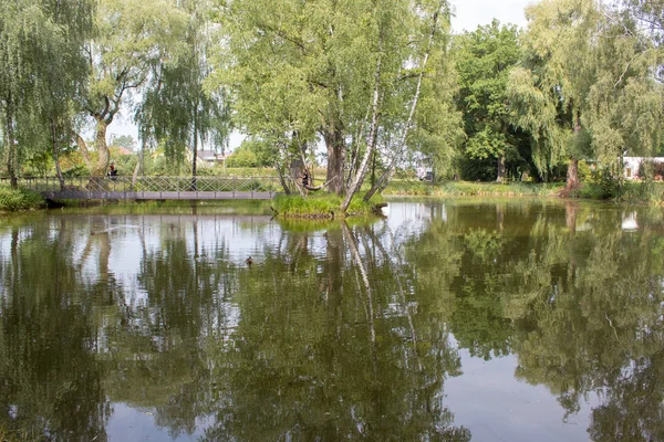 Paisaje Verde Pintoresco Lago Verde Entre Bosque Con Una Isla — Foto de Stock