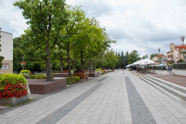 Vacker Europeisk New Street Stadspark Med Ljusa Blommande Blomsterrabatter Vackra — Stockfoto