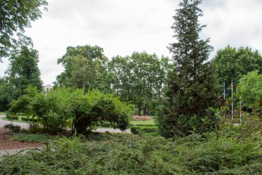 Gölgeli sokakları, kesilmiş çimleri, dekoratif çalıları ve ağaçlarla dolu güzel, bakımlı yeşil bir Avrupa parkı.