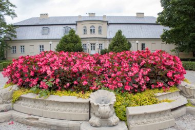 Güzel bir çim ve bir yaz gününde güzel bir kale binasının fon karşı parlak pembe begonya çiçekleri.