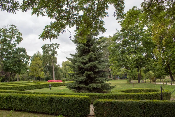 Egy Szép Gondozott Zöld Európai Park Árnyas Sikátorokkal Nyírt Pázsit — Stock Fotó