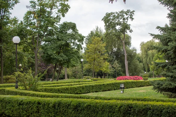 Egy Szép Gondozott Zöld Európai Park Árnyas Sikátorokkal Nyírt Pázsit — Stock Fotó